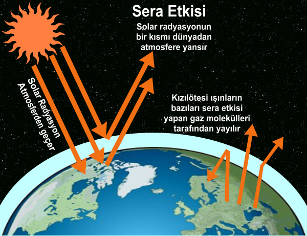 Sera Nedir ve �nemi 