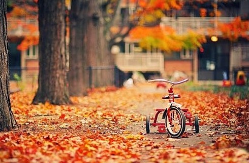 Bah�enizi Sonbahar ve K��a Haz�rlay�n!