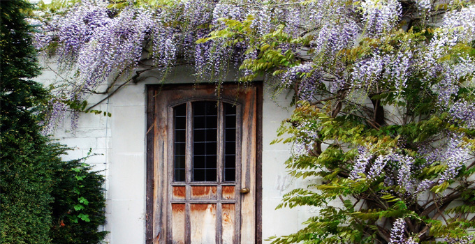 Balkonlar�n�z� s�sleyen sarma��klar