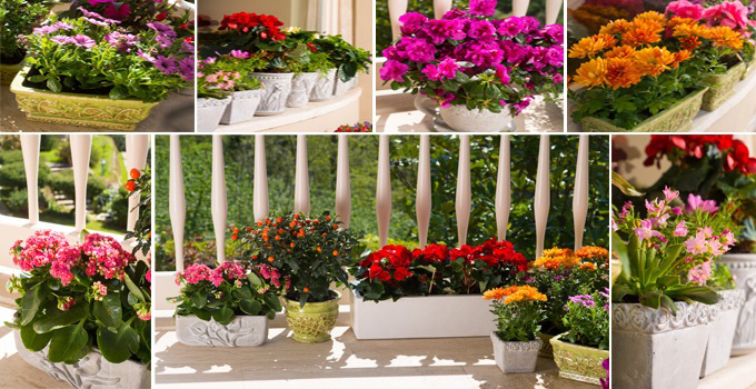  Bah�enizde Veranda Keyfi..