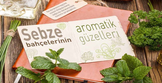 Bah�enizdeki Aromatik G�zeller