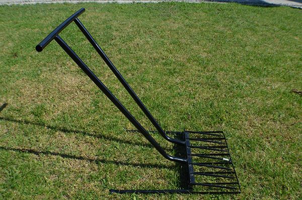 D�zcepas� �apas�